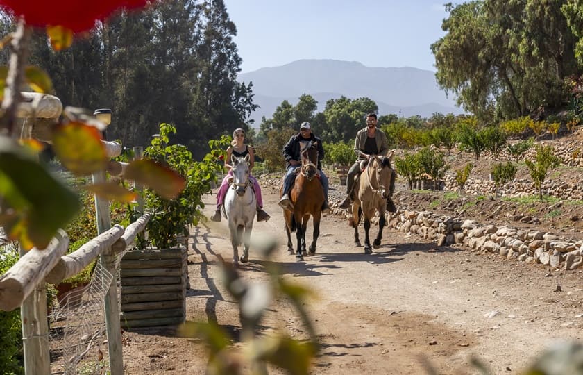 Hacienda Santa Cristina (18)